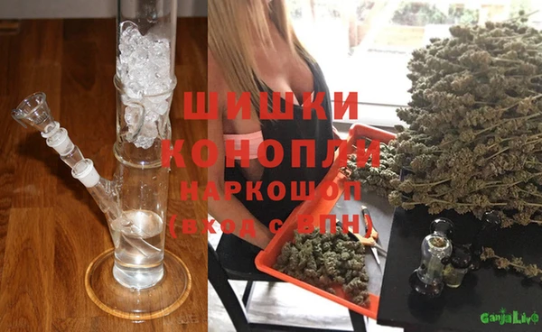 стаф Киренск