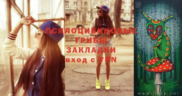 стаф Киренск