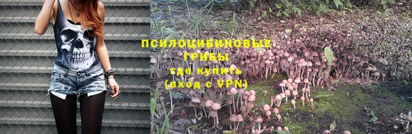 стаф Киренск