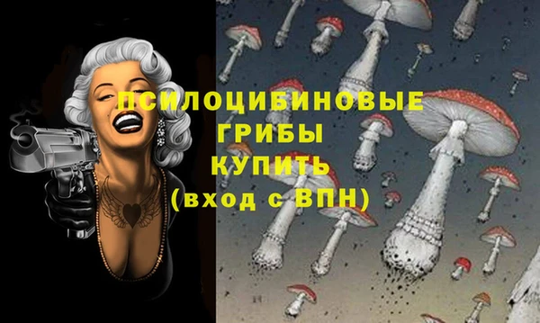 spice Кинешма