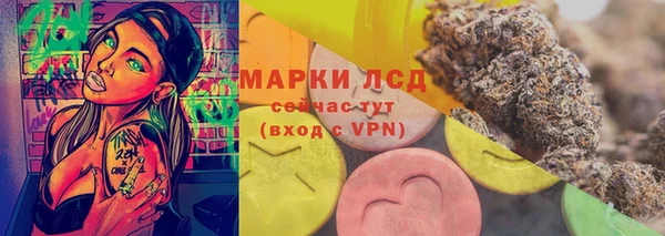 стаф Киренск