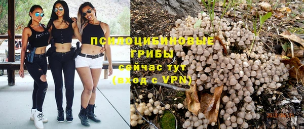 стаф Киренск
