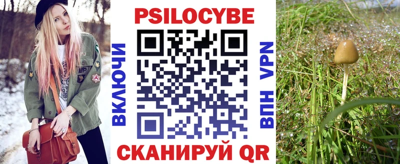Купить  Озёры  Галлюциногенные грибы MAGIC MUSHROOMS 